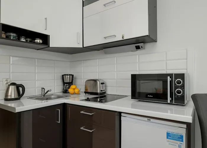 Flamingo Studio With Balcony In Miedzyzdroje Seaview By Rent Like Home